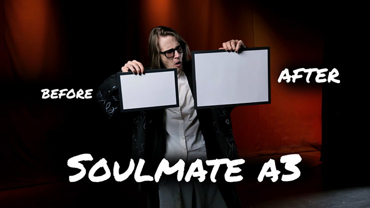 Soul Mate (Large A3 size)