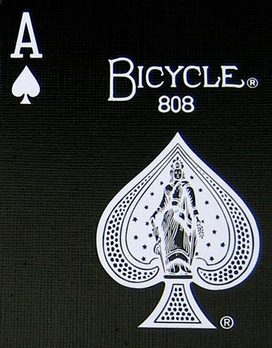 Bicycle Black Tiger Deck by USPCC Standard | Ellusionist