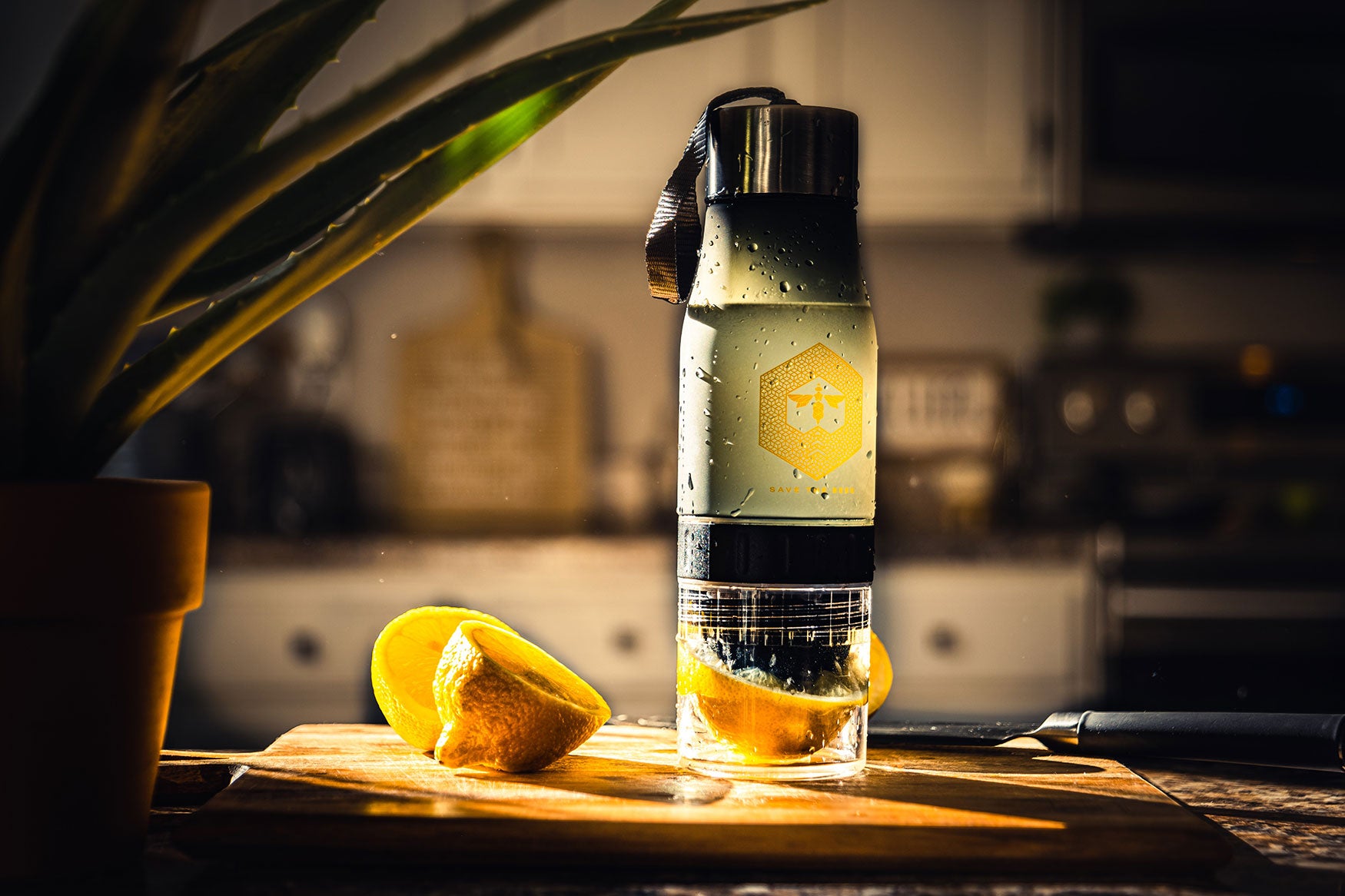 Queen Bee Water Infusion Bottle by Ellusionist | Ellusionist