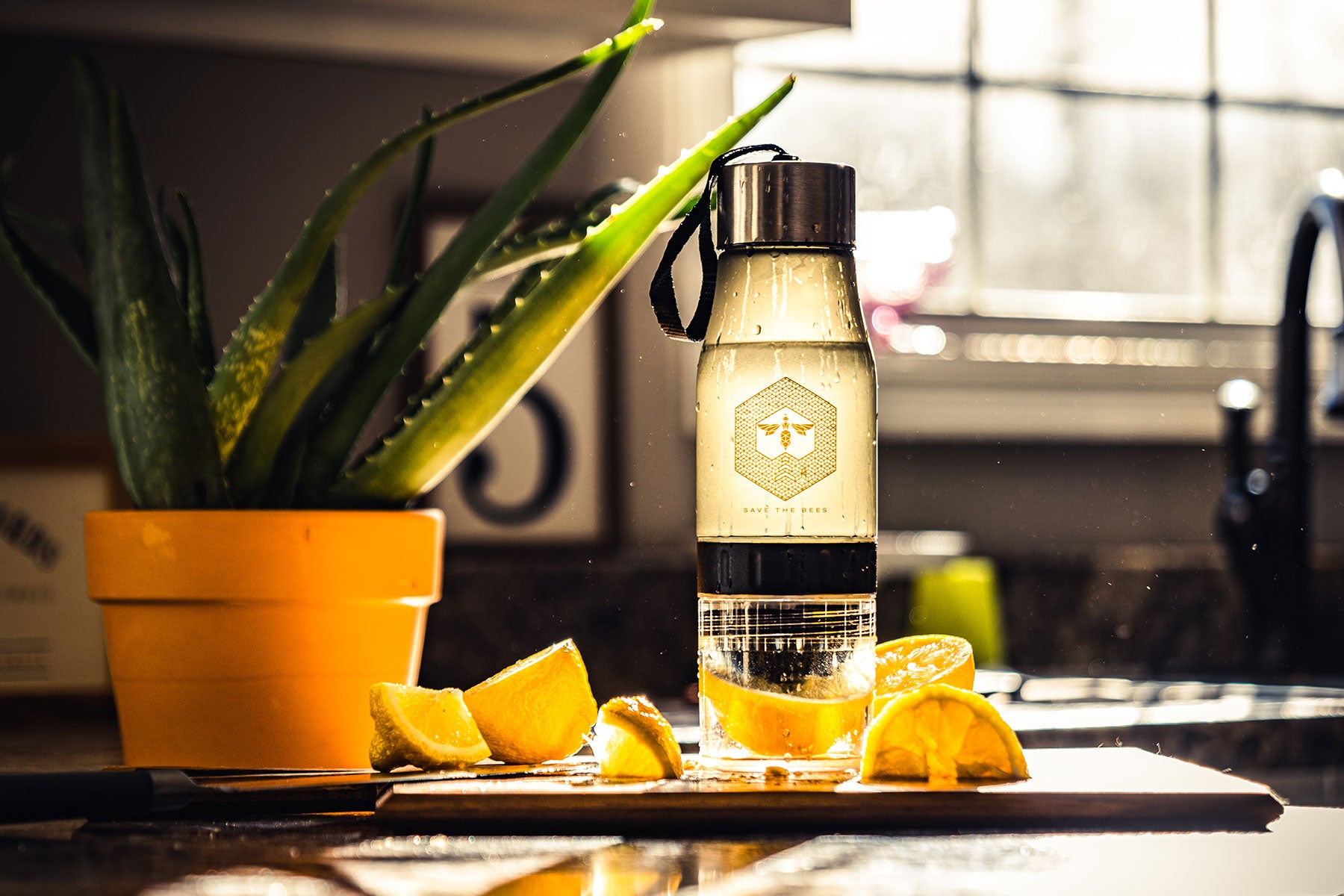 Queen Bee Water Infusion Bottle by Ellusionist | Ellusionist