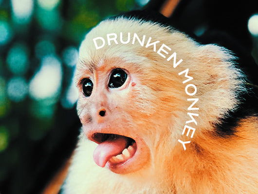 Drunken Monkey by Justin Miller | Ellusionist